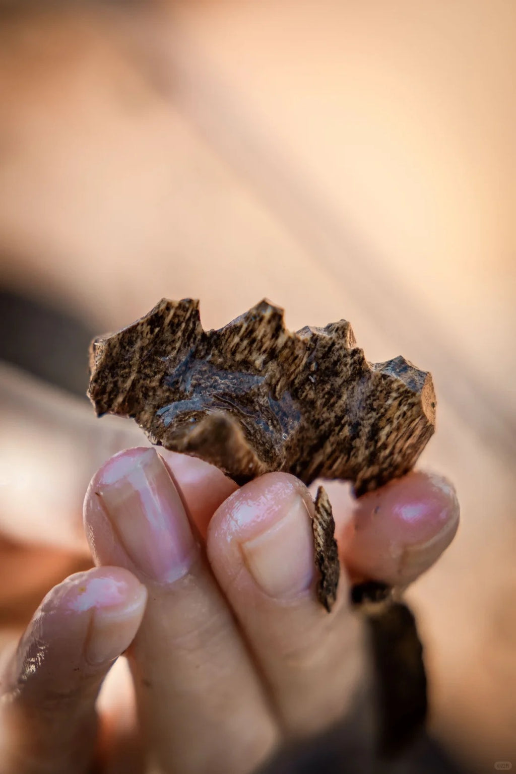 Imperial Nha Trang Oud（3a）