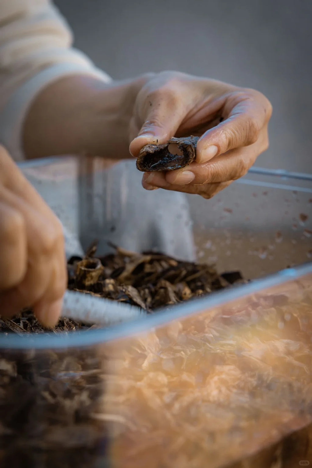 Imperial Nha Trang Oud（3a）